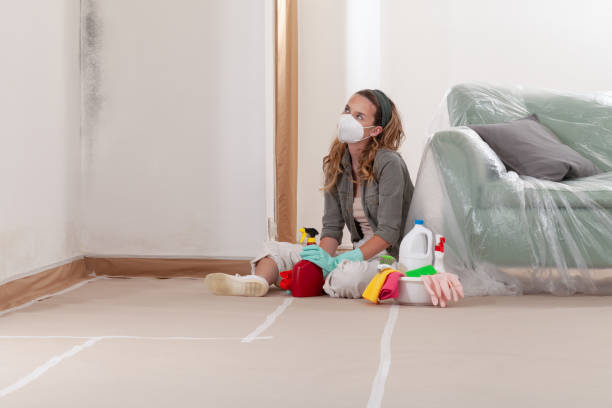 Reliable Mold Remediation contractor in Gallatin, TN by WQB Mold Removal